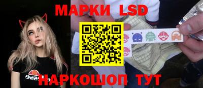 стафф Ставрополь