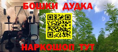 стафф Ставрополь